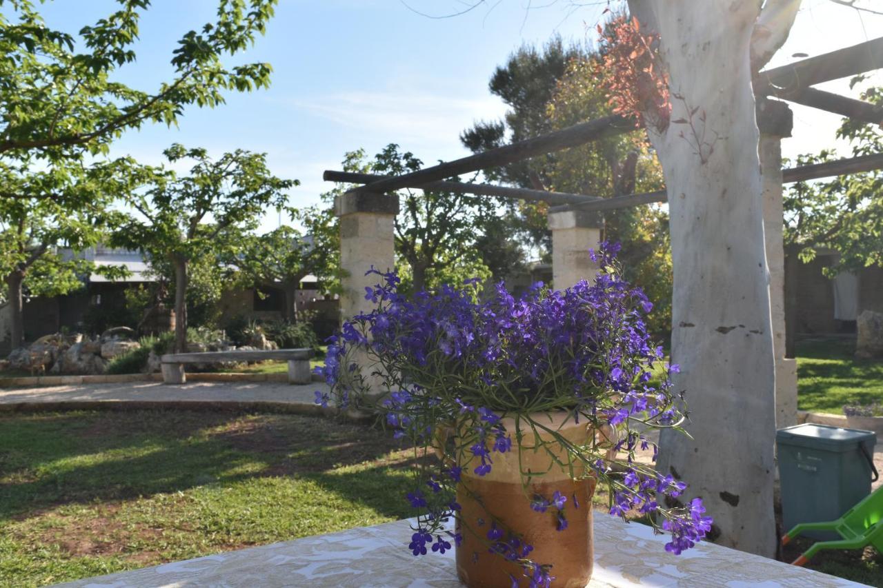 Tenuta Nonno Carmine Porto Cesareo Dış mekan fotoğraf
